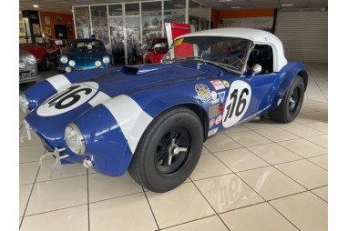 AC COBRA  289 FIA 1965